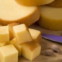 PROVOLONE